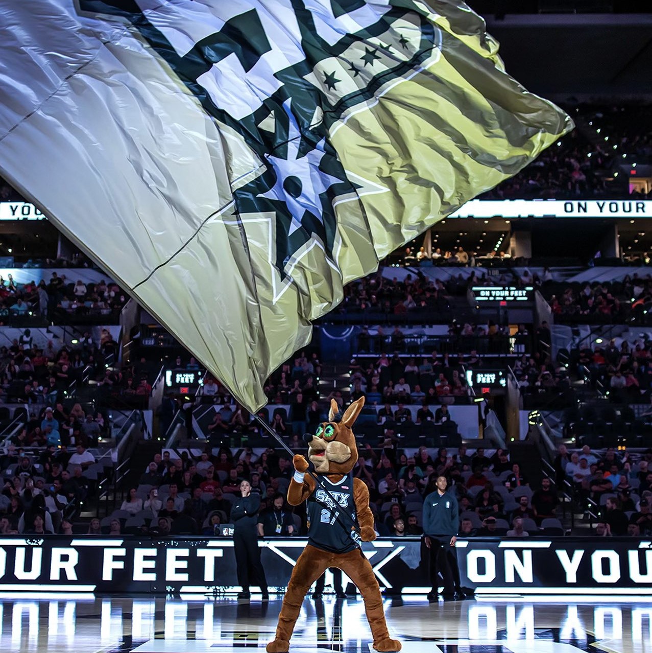 也是本赛季 也是本赛季