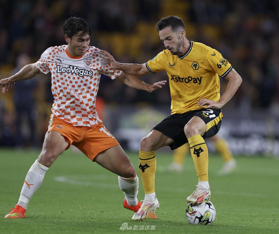 才少女为何 才少女为何